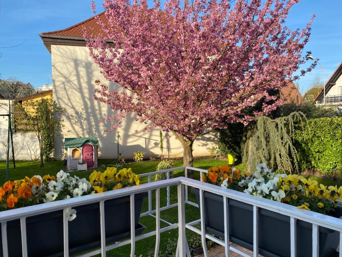 Appartement Le Jardin Lingolsheim Dış mekan fotoğraf