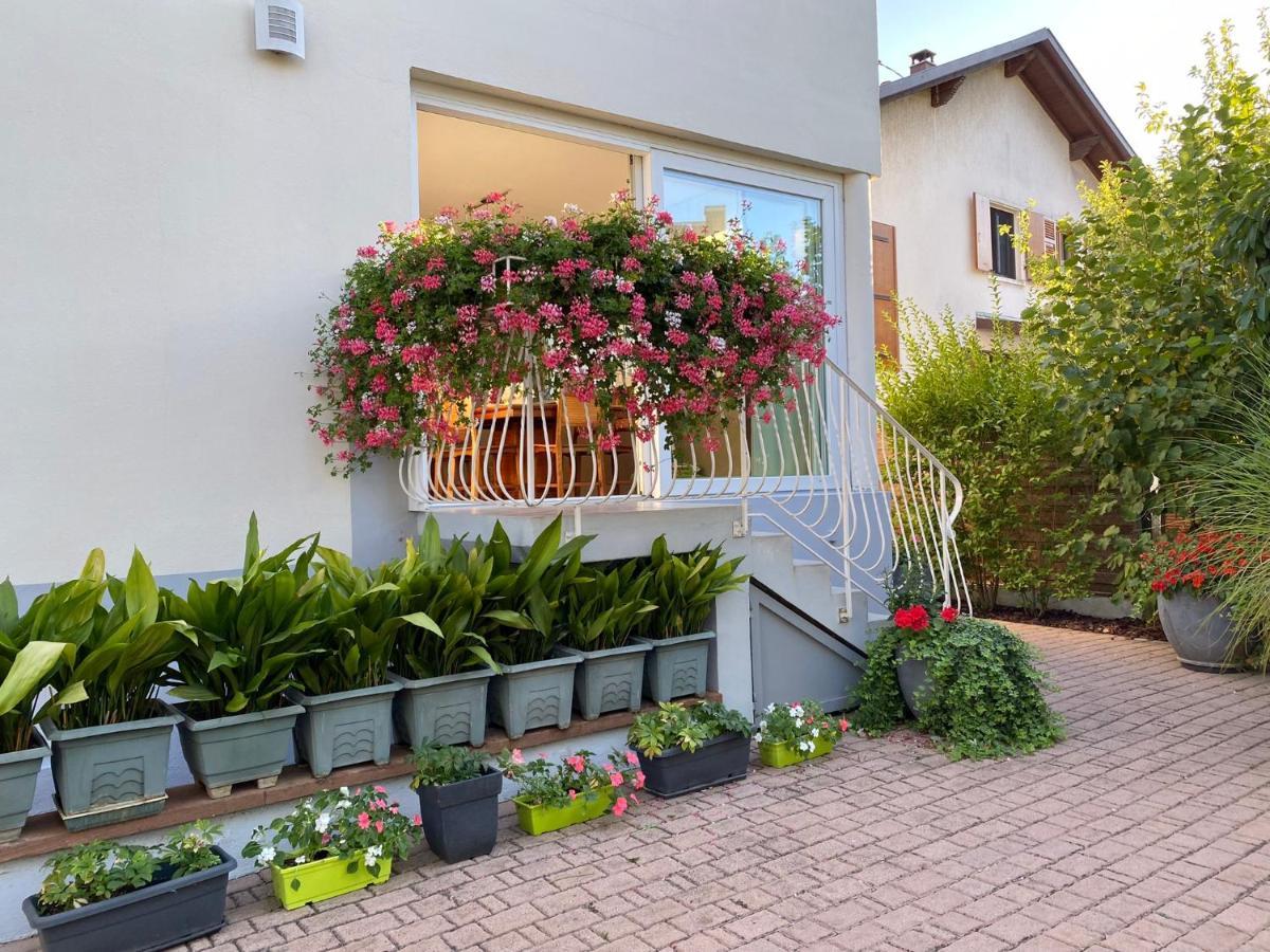 Appartement Le Jardin Lingolsheim Dış mekan fotoğraf