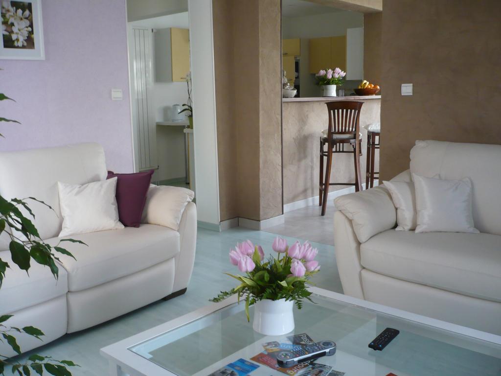 Appartement Le Jardin Lingolsheim Oda fotoğraf