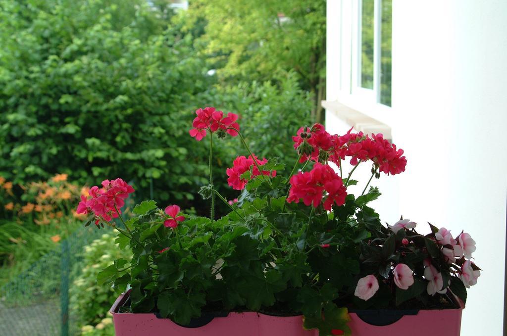 Appartement Le Jardin Lingolsheim Oda fotoğraf