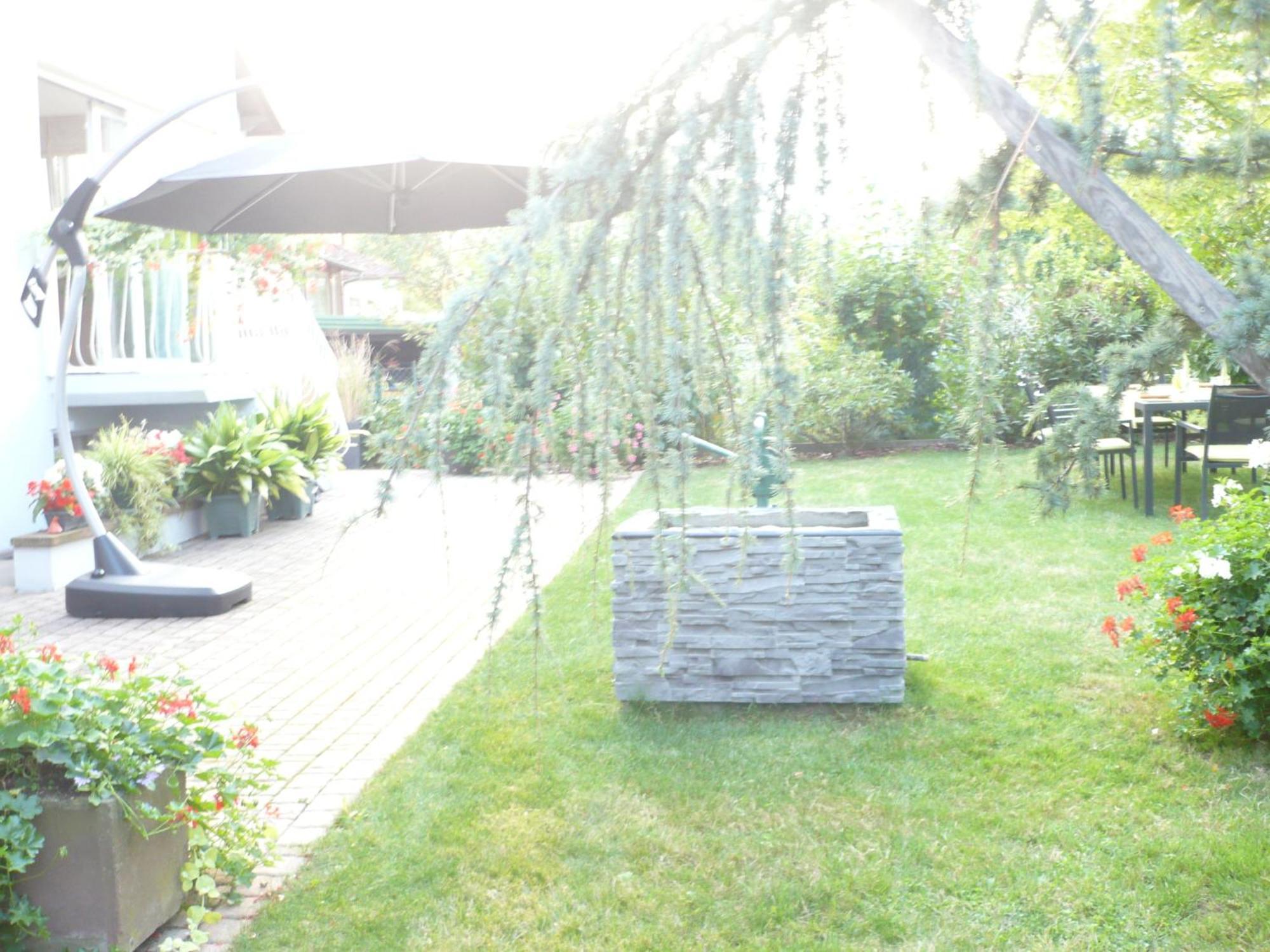 Appartement Le Jardin Lingolsheim Dış mekan fotoğraf