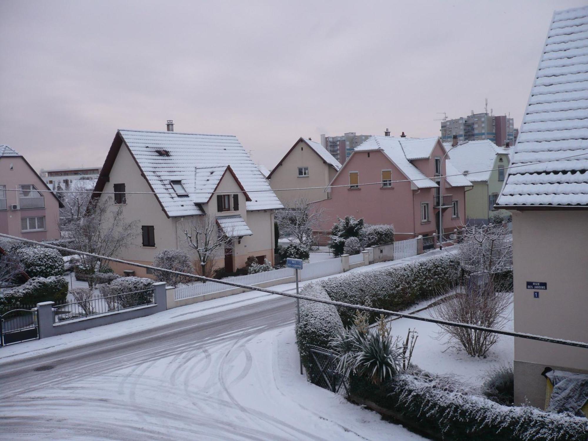 Appartement Le Jardin Lingolsheim Dış mekan fotoğraf
